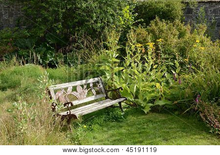 Bænk i walled garden, Applecross