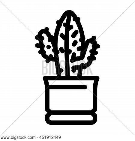 Euphorbia Acrurensis Line Icon Vector. Euphorbia Acrurensis Sign. Isolated Contour Symbol Black Illu