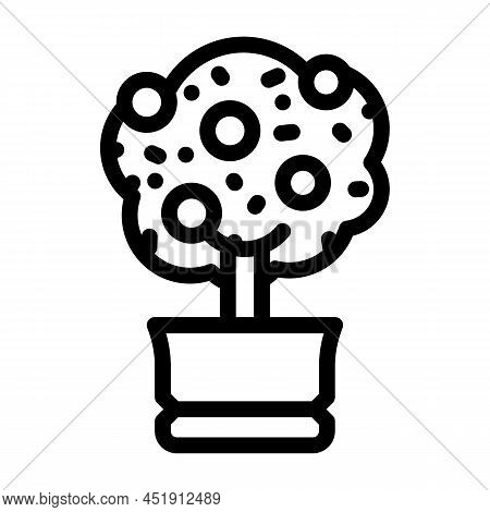 Citrus Tree Line Icon Vector. Citrus Tree Sign. Isolated Contour Symbol Black Illustration