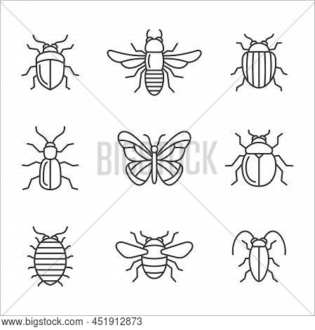 Insect Icons Set. Butterfly, Bug And Bee. Vector