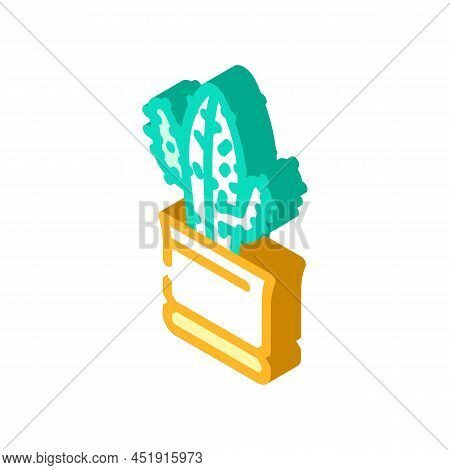 Euphorbia Acrurensis Isometric Icon Vector. Euphorbia Acrurensis Sign. Isolated Symbol Illustration