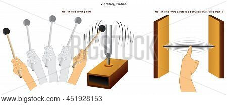 Vibratory Motion Infographic Diagram With Example Of Tines Of Tuning Fork And Movement Of Stretched 