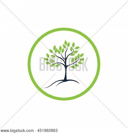 Tree Logo Template Vector Icon Illustration
