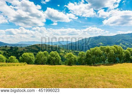 Countryside Summer Scenery In Mountains. Panoramic View Of Scenic Mizhhirya Landscape With Trees And