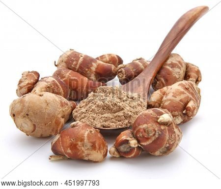Fresh kencur roots and ground kencur powder on white background