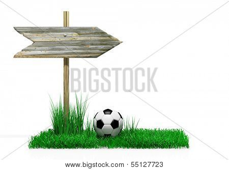 Wooden sign with soccer ball and grass, isolated on white