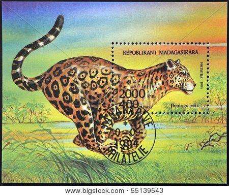 MADAGASCAR - CIRCA 1994: A stamp printed in Madagaskar dedicated to wild Animals shows Panthera Onka