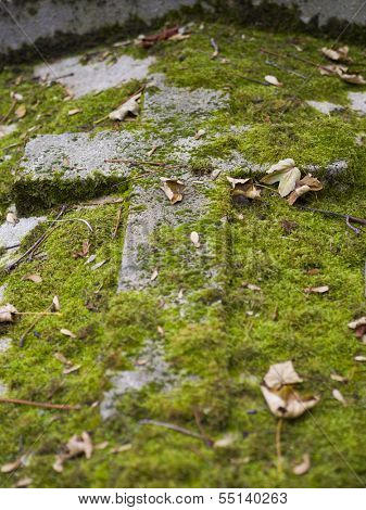 old nameless tombstone in cemetery setting shallow depth of field