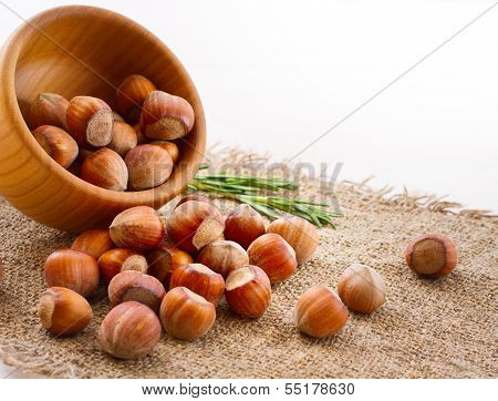 Hazelnuts, filbert on old wooden background