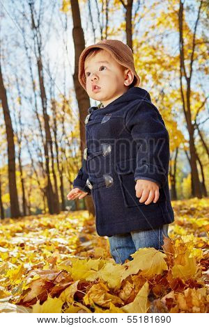 Little boy stands in yellow fallen leaves in autumn park, low angle view