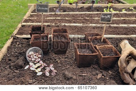 Pots For Seedlings