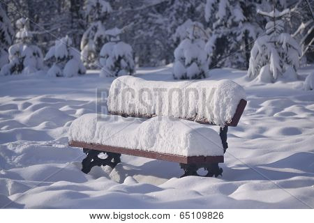 snow-covered bench