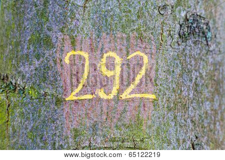 Number 292 Painted At The Old Tree