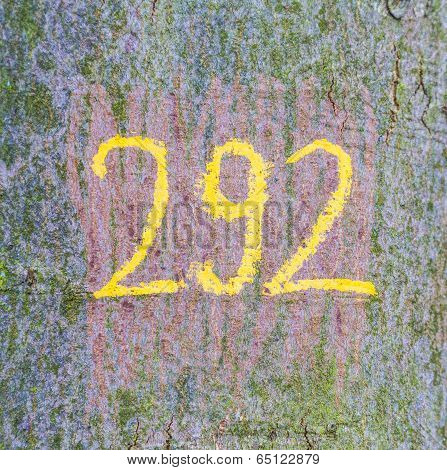 Number 292 Painted At The Old Tree