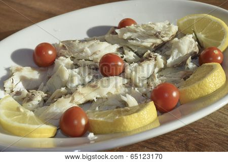 Umbra Fish