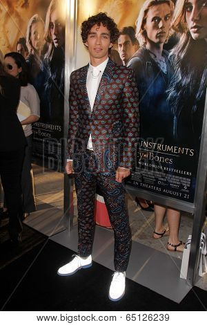 LOS ANGELES - AUG 12:  Robert Sheehan at the 