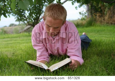 Lesen