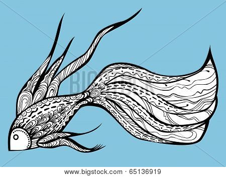 Fancy Fish