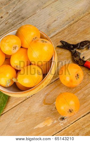Fresh Loquats