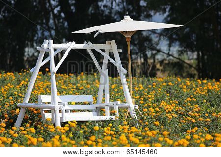 Marigold Fields