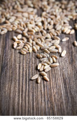 Farro