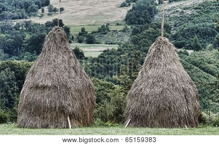 Sheaves