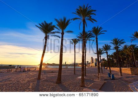 Benidorm Alicante playa de Poniente beach sunset in Spain with palm trees