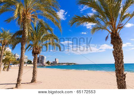Alicante San Juan beach of La Albufereta with palms trees in Mediterranean Spain