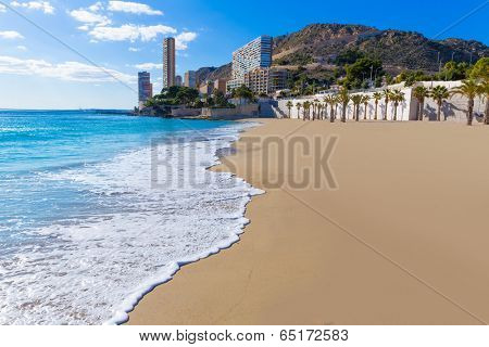 Alicante San Juan beach of La Albufereta with palms trees in Mediterranean Spain