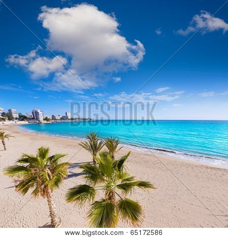 Alicante San Juan beach of La Albufereta with palms trees in Mediterranean Spain