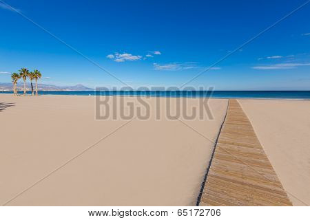 Alicante San Juan beach with palms trees of Mediterranean sea at Spain valencian Community