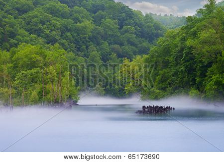 Norris Dam