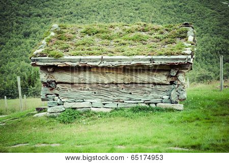 Typical Norwegian House With Grass On The Rooftop