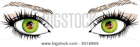 Ögon
