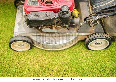 Cutting Green Grass In Yard With Lawnmower.