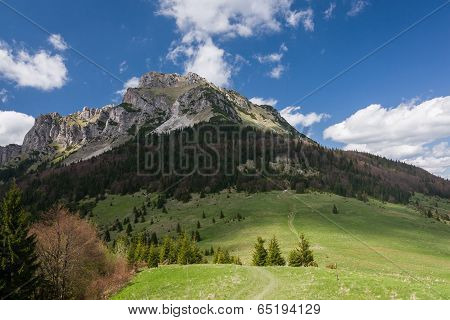 Spring Mountains - Big Rozsutec Hill, Little Fatra, Slovakia