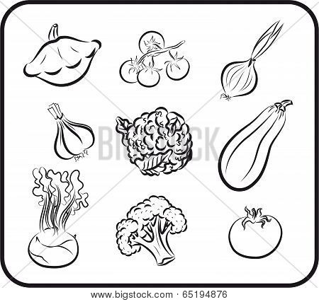 vegetables vector hand drawn