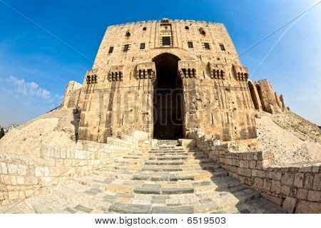 Syria - Aleppo