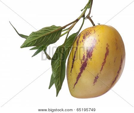 Pepino Fruit