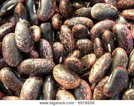 Bean