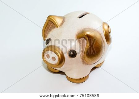 Money box pig on white background