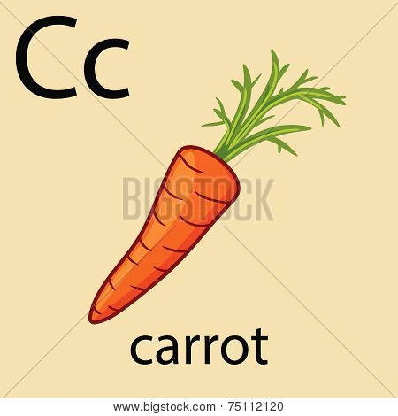 Hand Drawn Carrot With Top