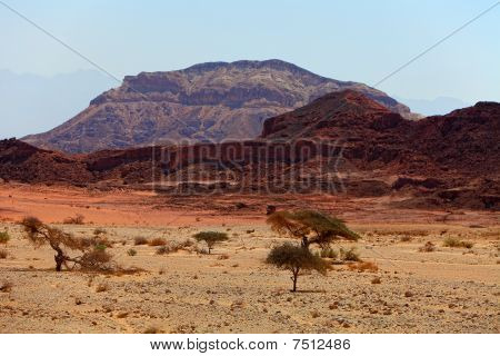 Öken och stenar i Timna national park