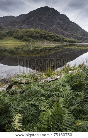 Landscape Image Of Mountain Reflected In Still Lake On Summer Morning
