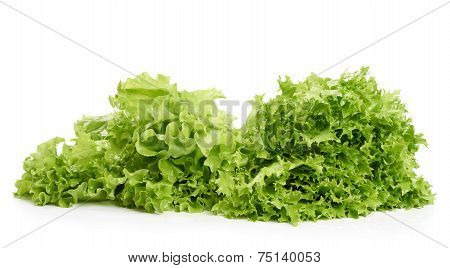Two Sorts Of Lettuce