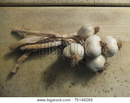 Garlic on wooden board.