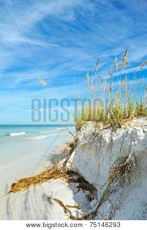 Beautiful Florida Coastline