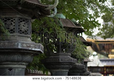 stone lanterns in a temple of Tokyo.