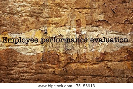 Employee Performance Evaluation