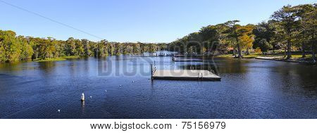 Wakulla Springs In The Fall